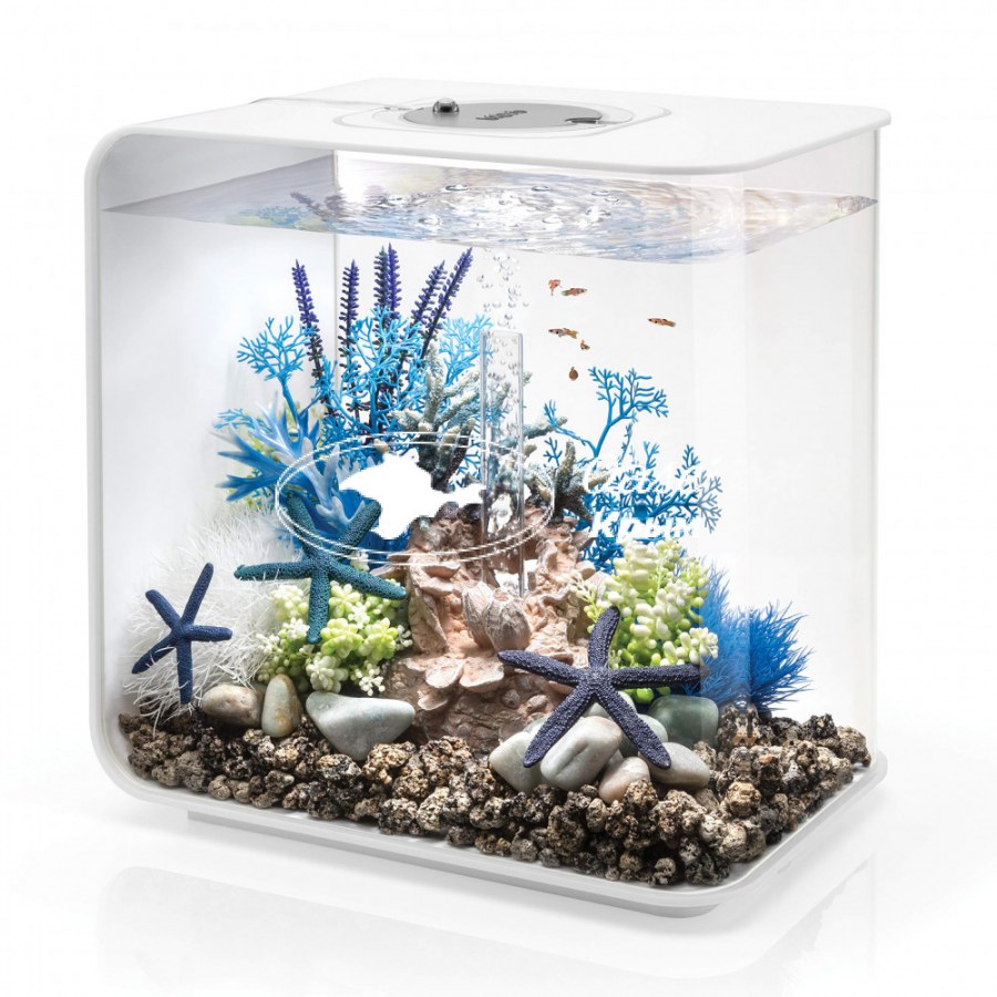 Флорариум Хоббит