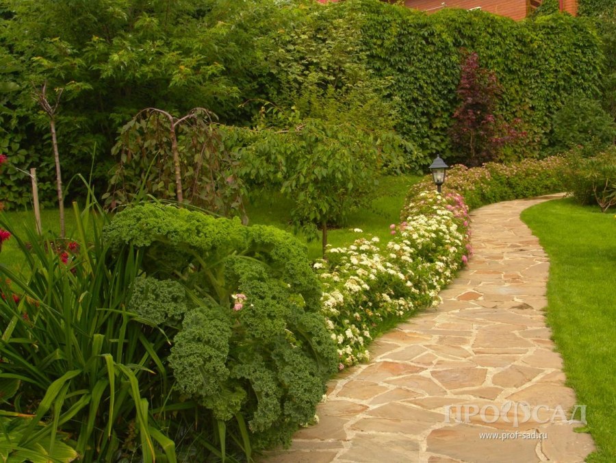 Тату на предплечье для девушек надписи