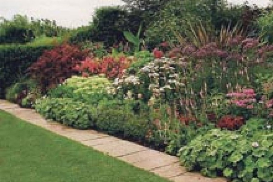 Малоуходный миксбордер