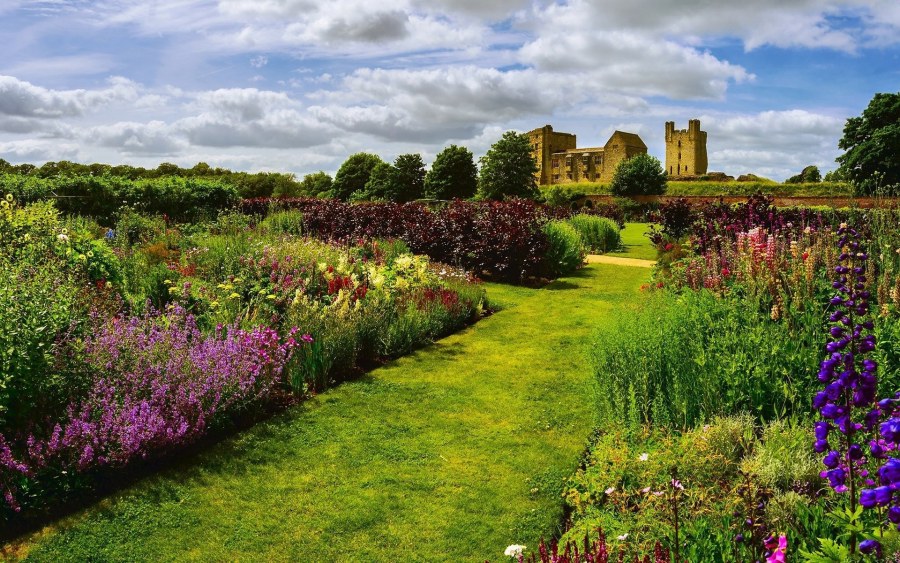 Цветы в пейзажах Англии