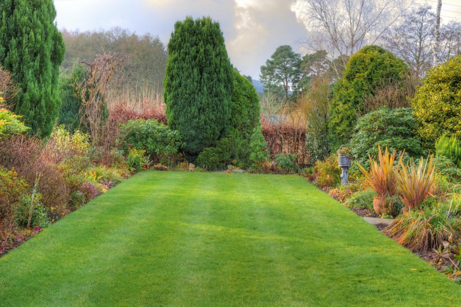 Хелен парк+ ландшафт