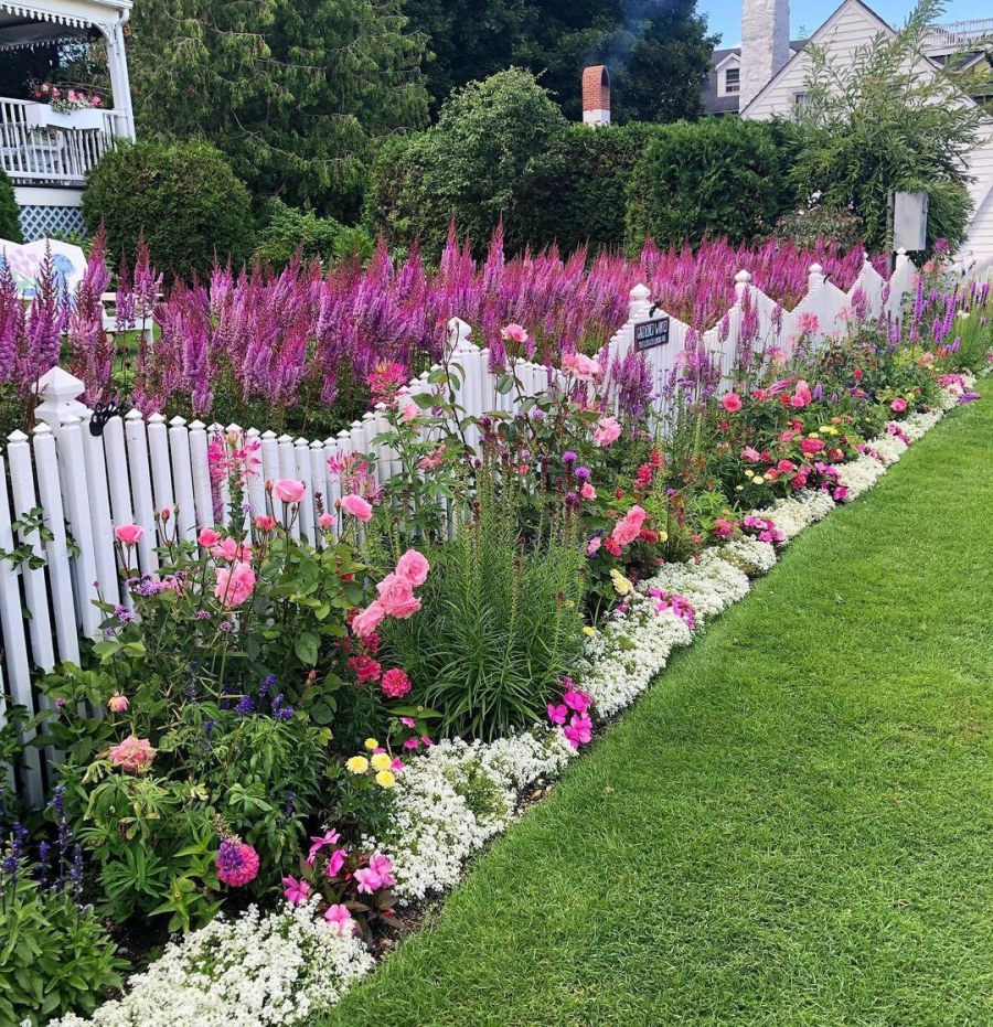 Цветник вдоль забора