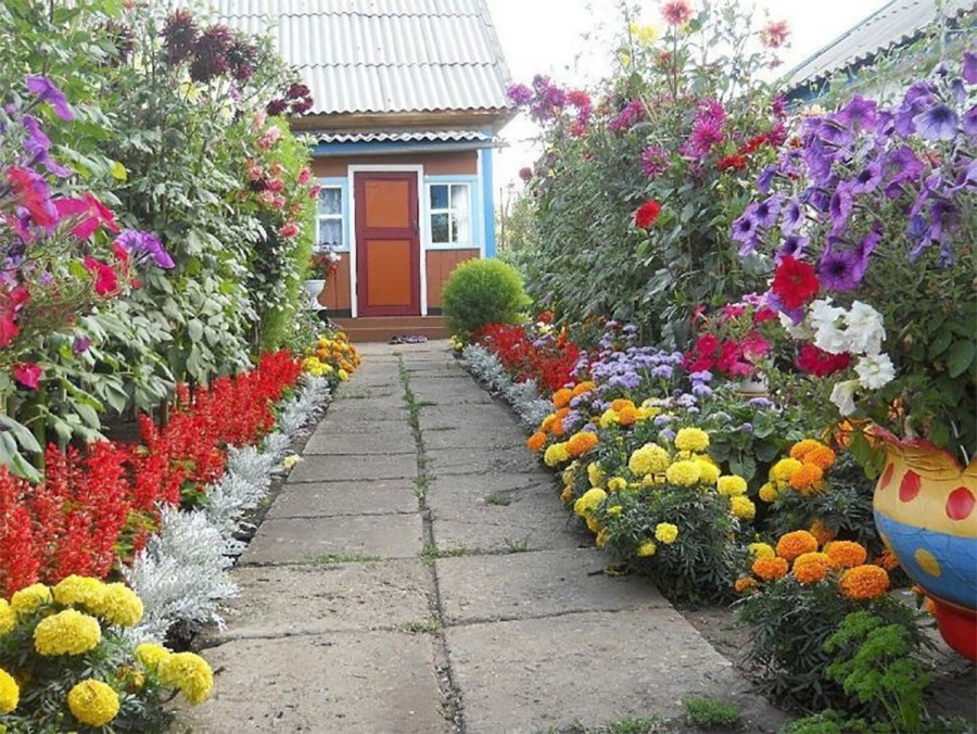 Красивые цветники на даче