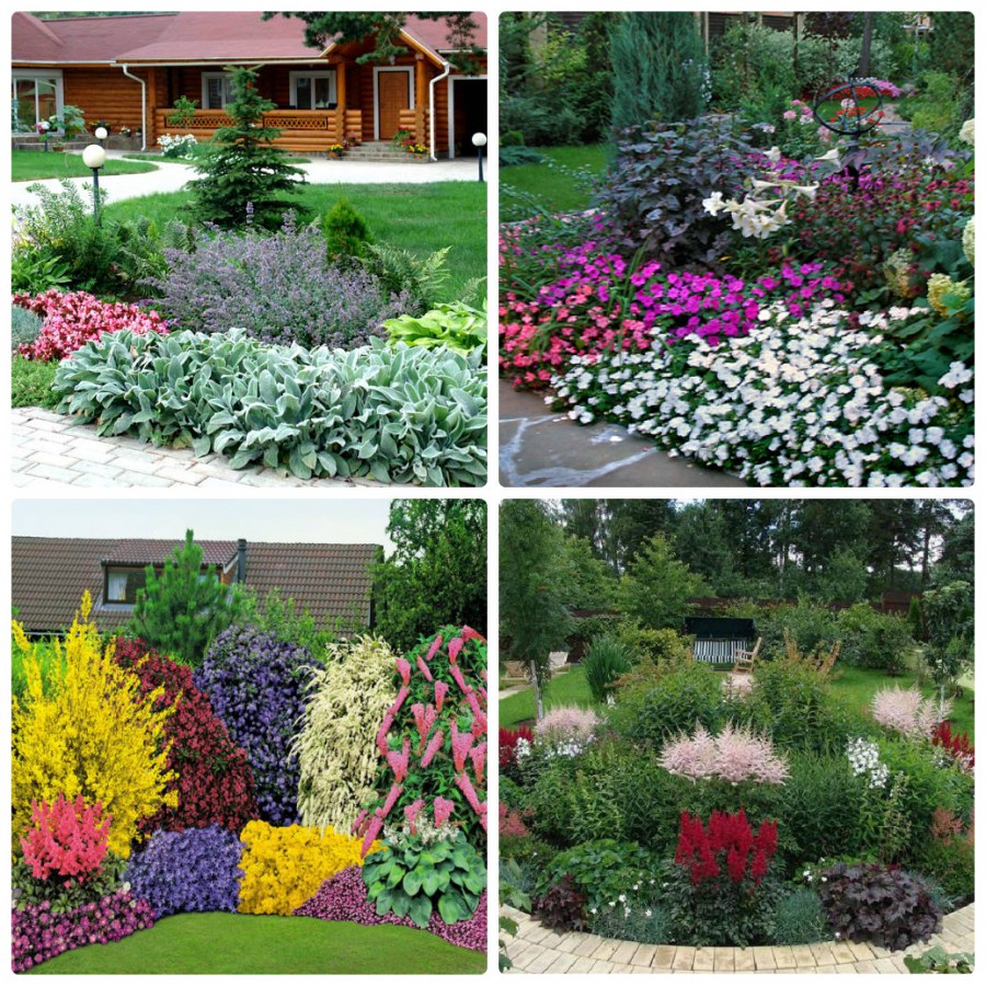 Цветник миксбордер из многолетников