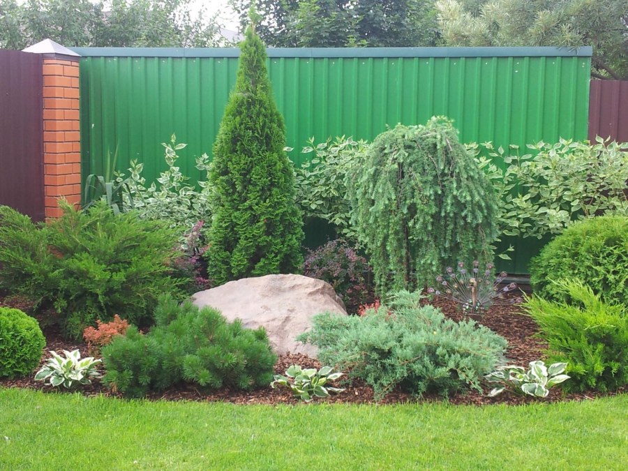 Хвойно Лиственный миксбордер