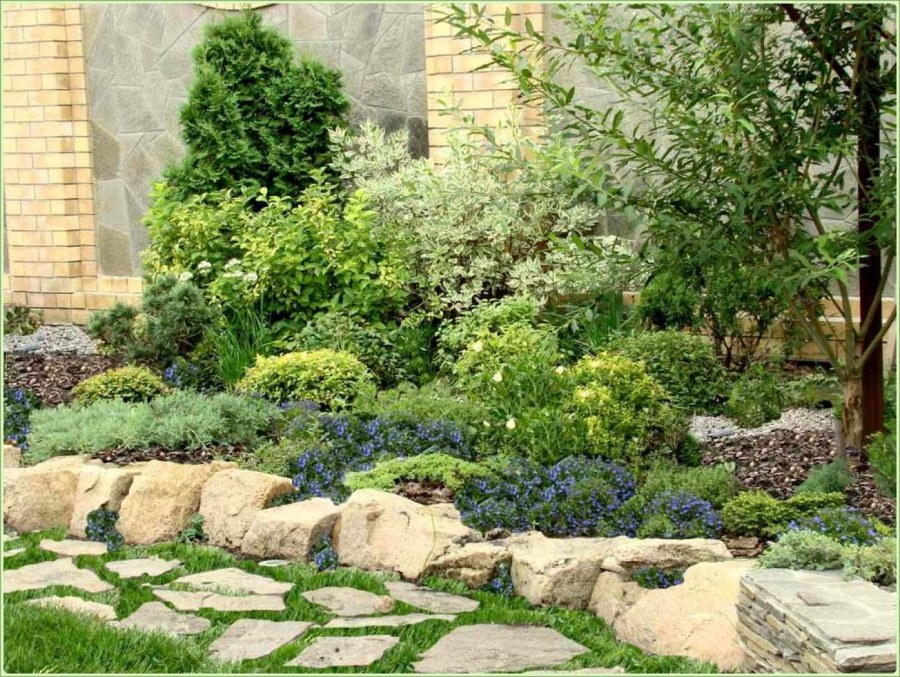 Альпийская горка в углу забора