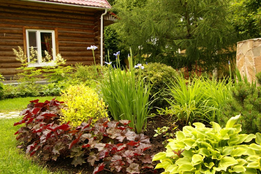 Цветник у бани