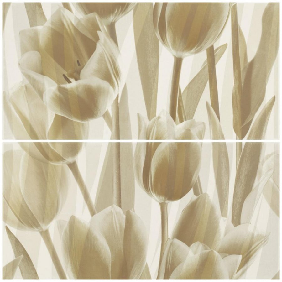 Плитка Coraline Paradyz