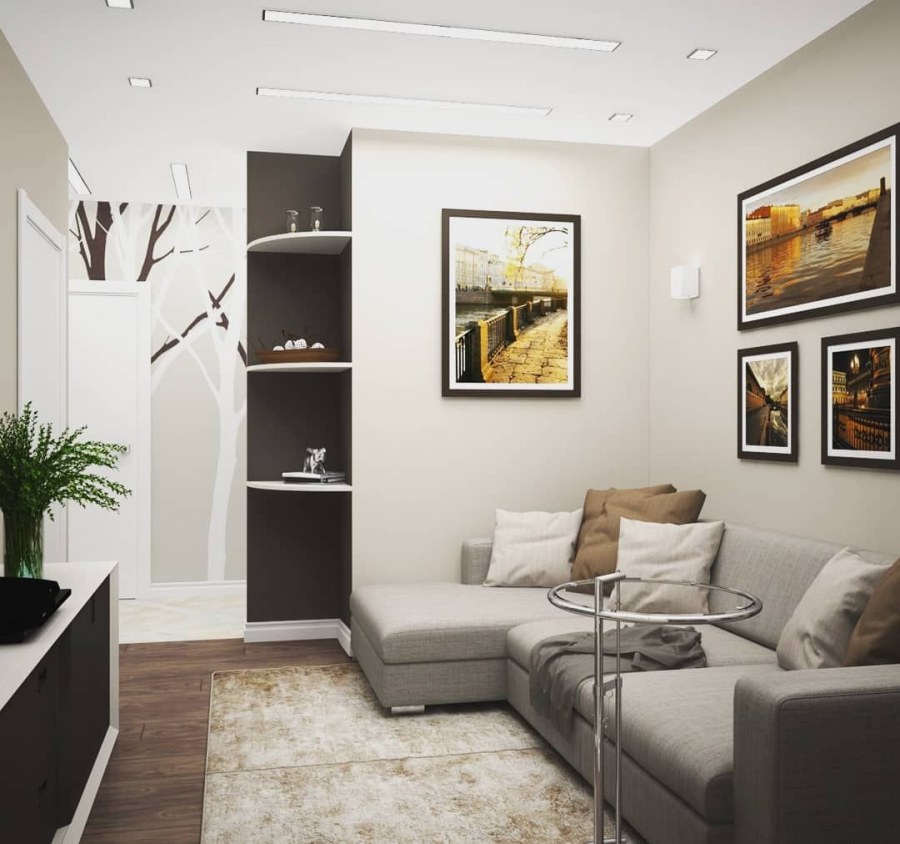 Гостиная без окна проходная