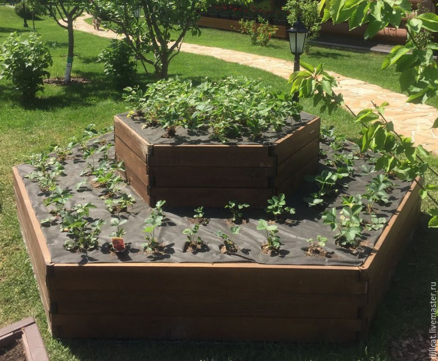 Высокие грядки для цветов