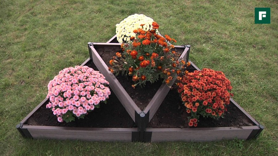 Грядка в виде соты