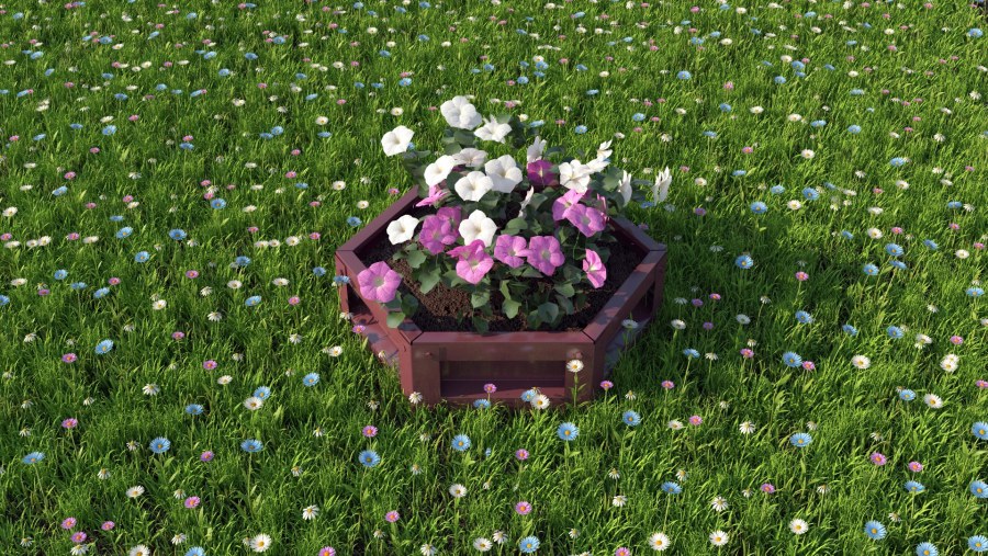 Шестиугольная клумба с цветами