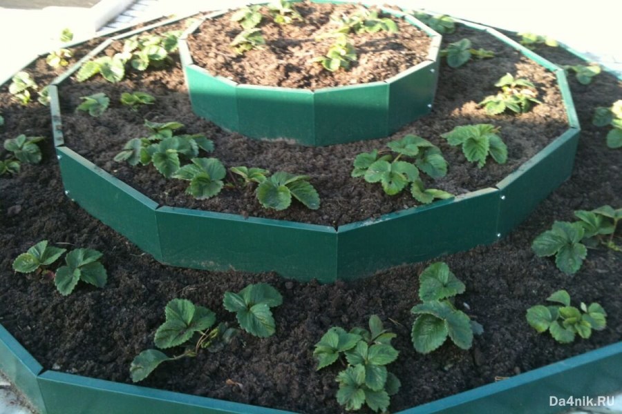 Ограждения для грядок и клумб