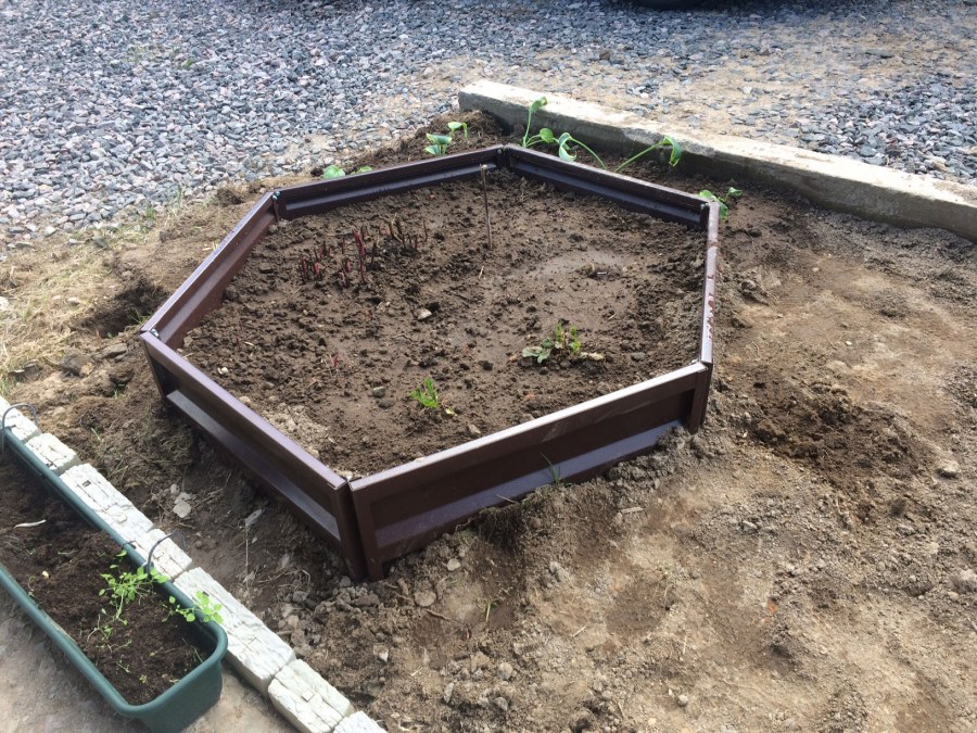 Шестигранные грядки