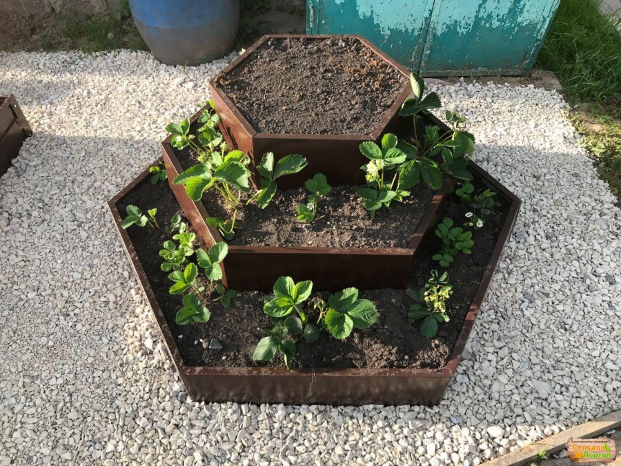 Клумба металлическая