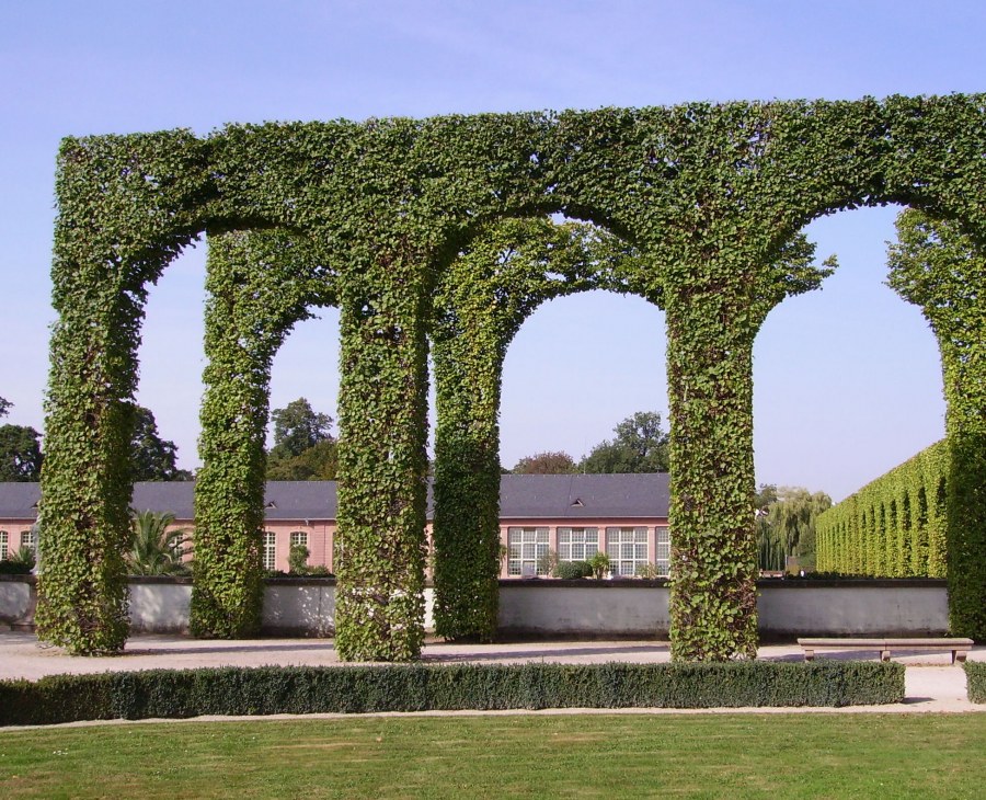 Боскет остров короля в Версале