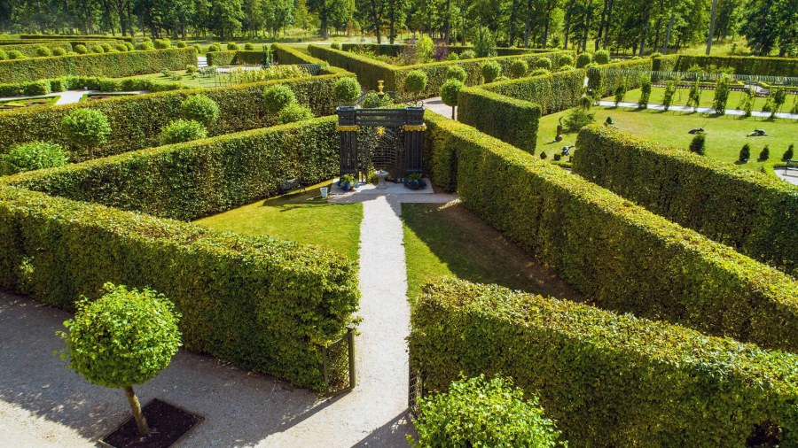 Боскет кабинет