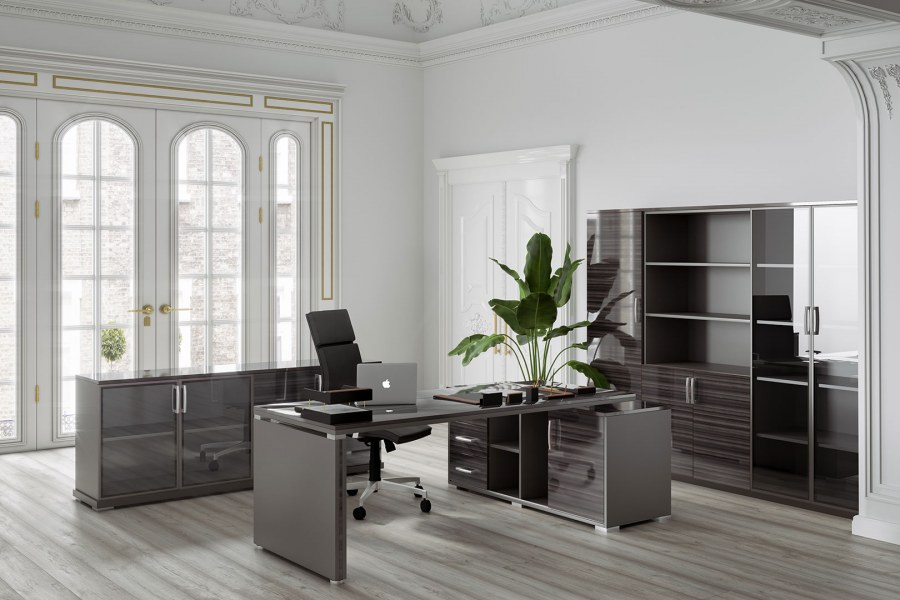 Кабинет руководителя Венеция Дефо