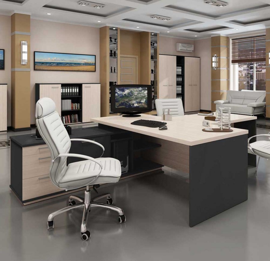 Кабинет руководителя Senator