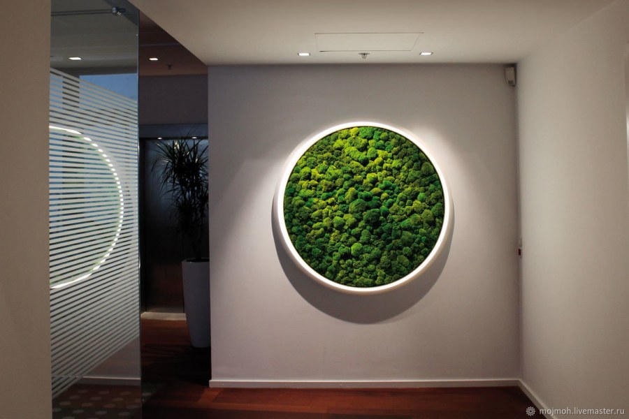 Фитостены из стабилизированного мха