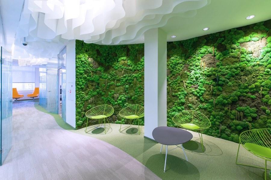 Фитостена из стабилизированного мха