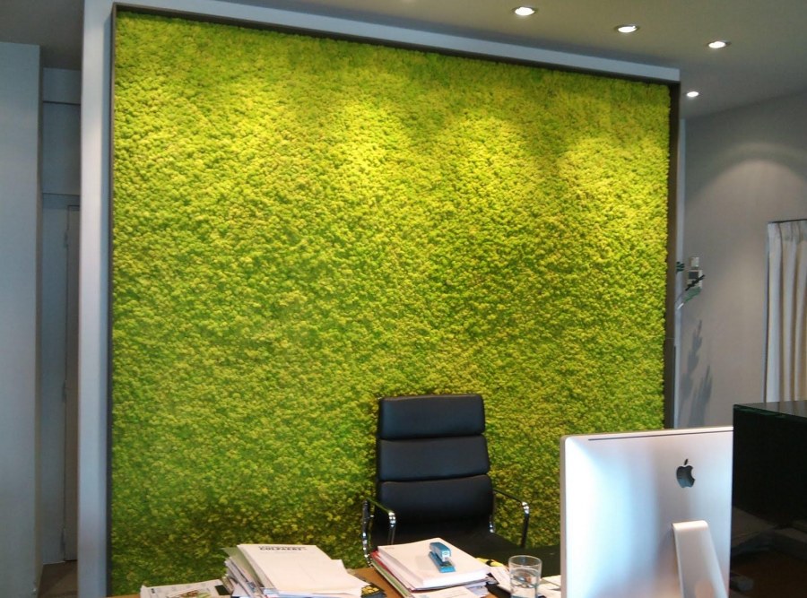 Фитостена из стабилизированного мха