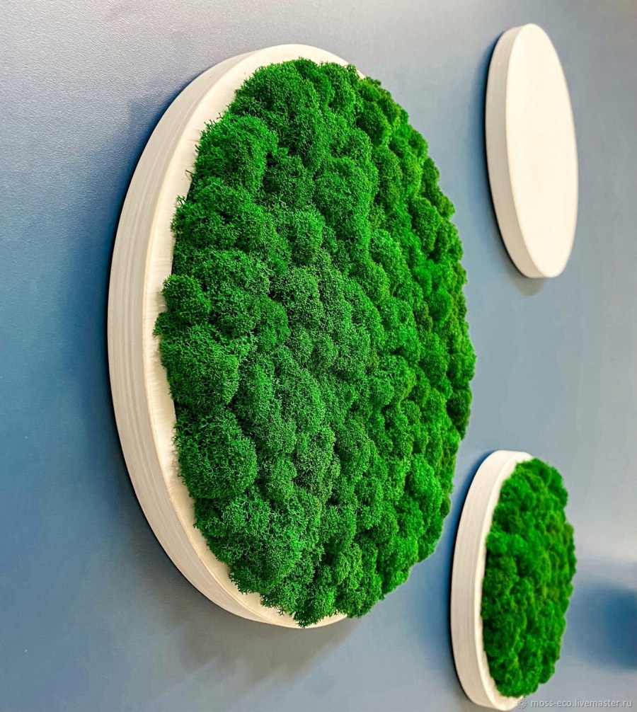 Стабилизированный мох в интерьере квартиры