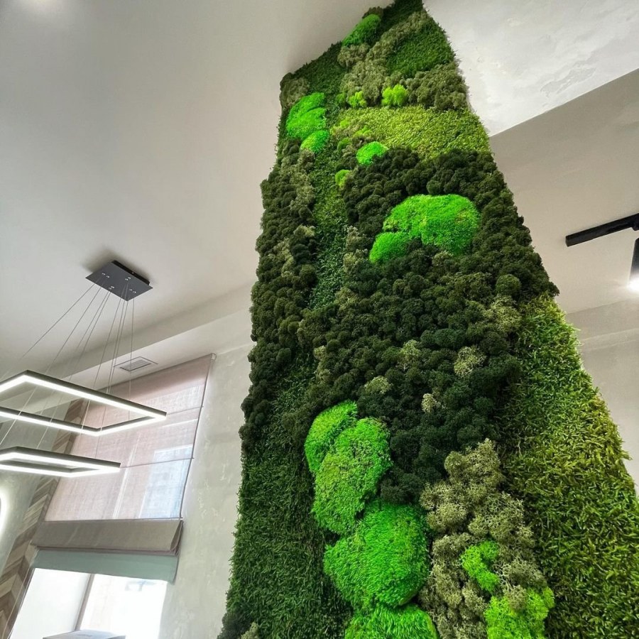 Фитостена мох стабилизированный