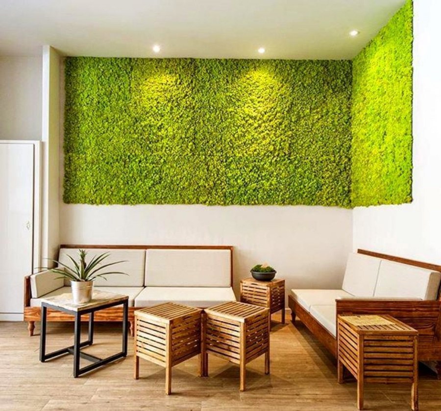 Фитостена из стабилизированного мха