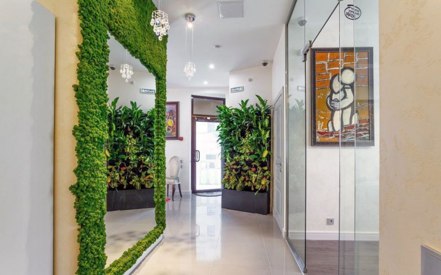 Стабилизированный мох