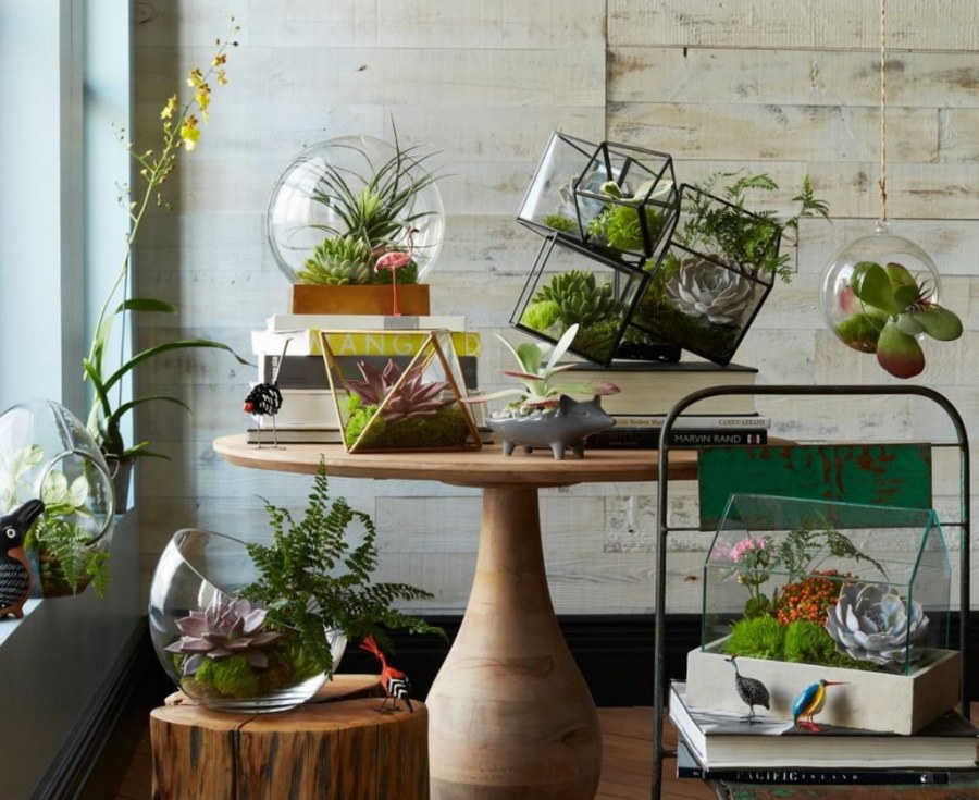 Фитодизайн террариум