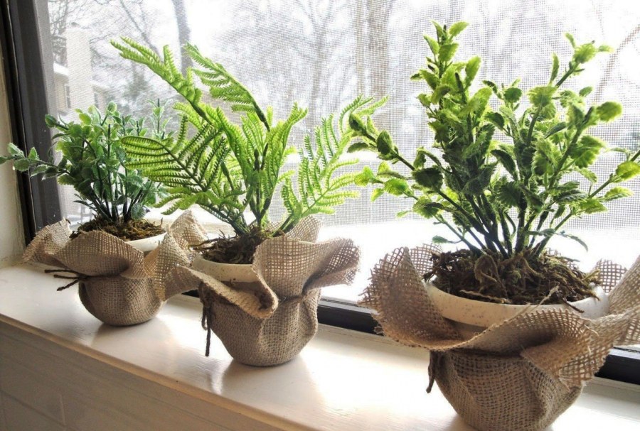 Декор для комнатных растений