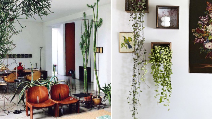 Интерьер с живыми цветами