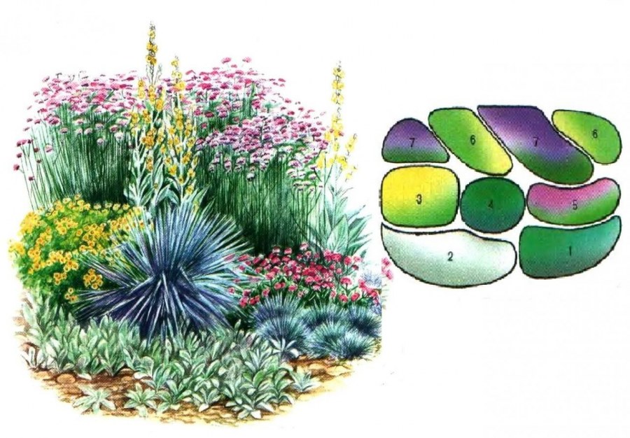 Клумбы миксбордеры схема