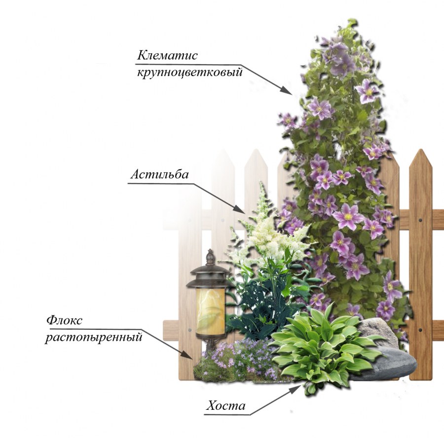 Миксбордер из многолетников и однолетников схема