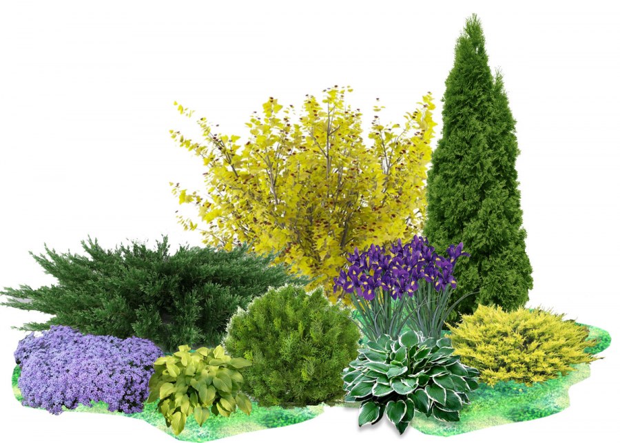 Рабатка схема цветника