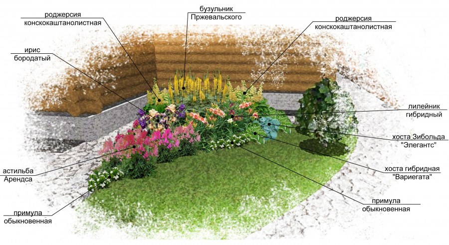 Клумба для тенистых мест схема