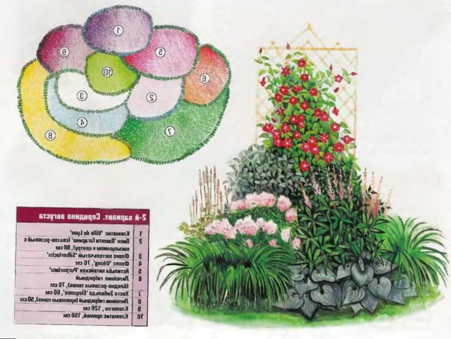 Сад непрерывного цветения многолетников