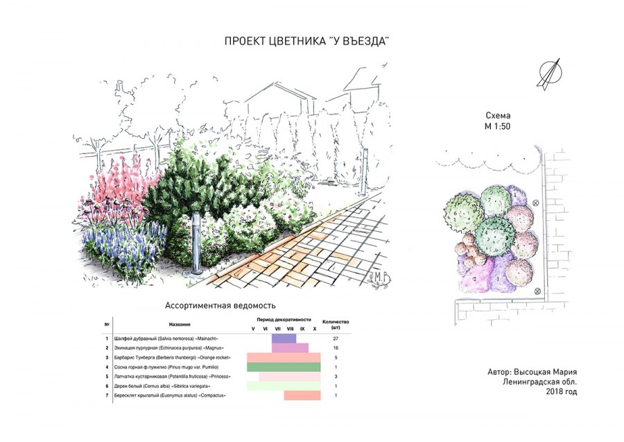 Схема посадки миксбордера из многолетников