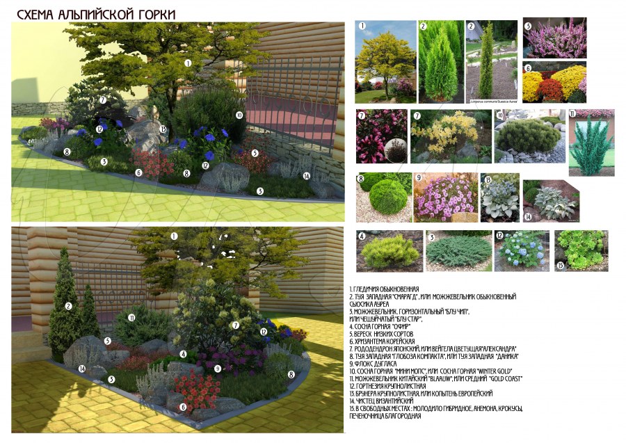 Готовые композиции в ландшафтном дизайне