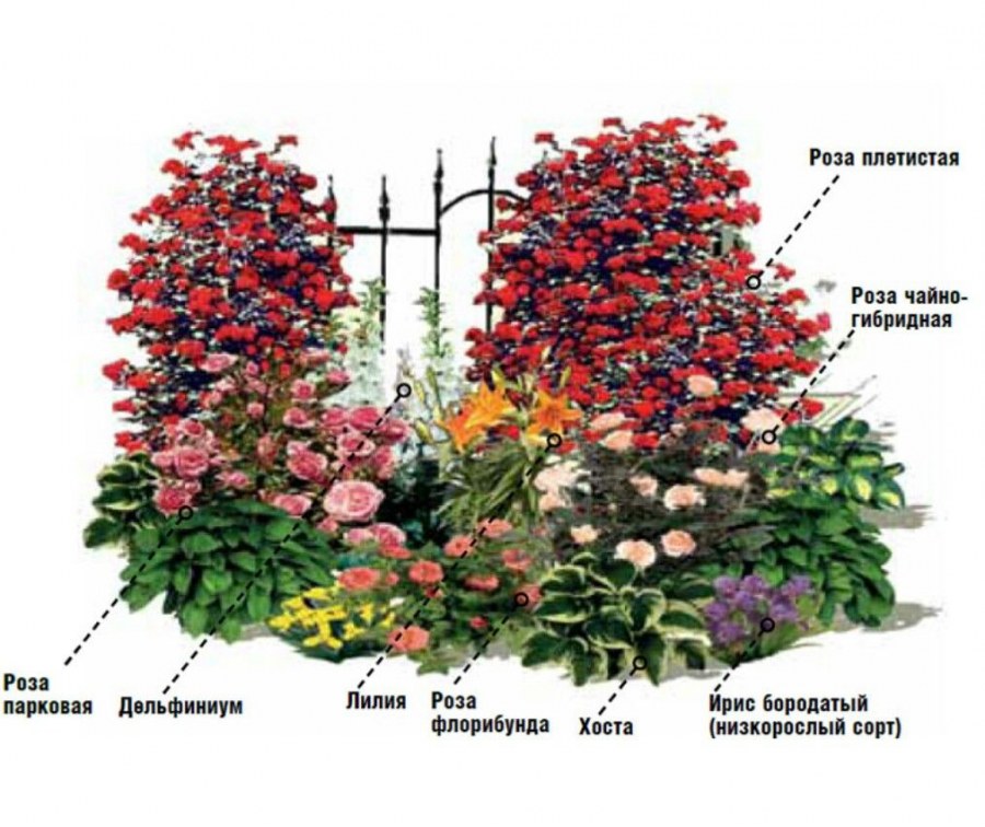 Озеленение территории