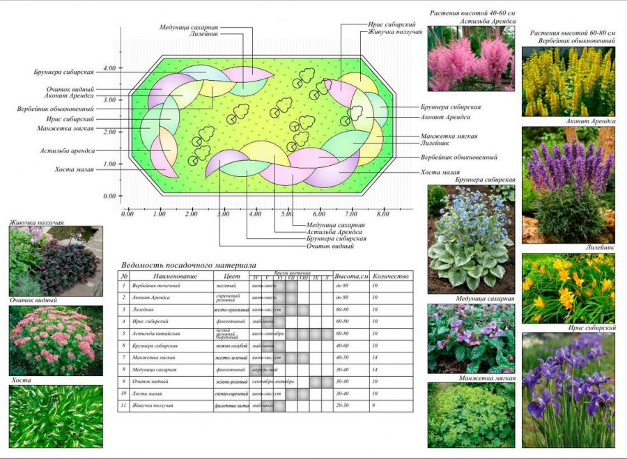 Хвойный миксбордер вдоль забора готовые схемы