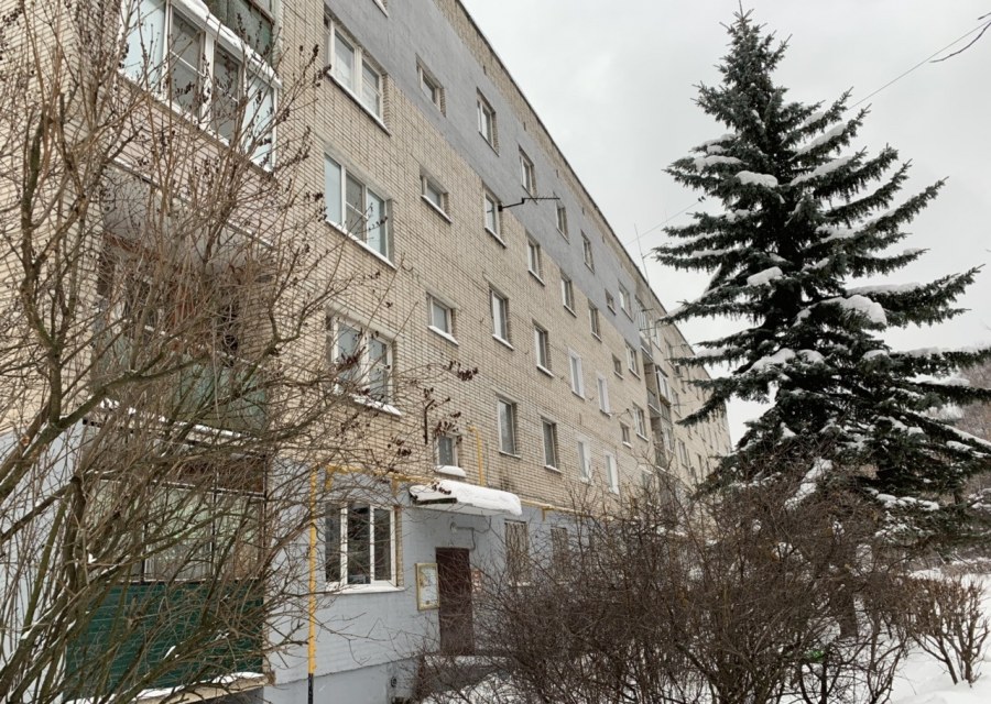 Г Лобня ул Пушкина д.6