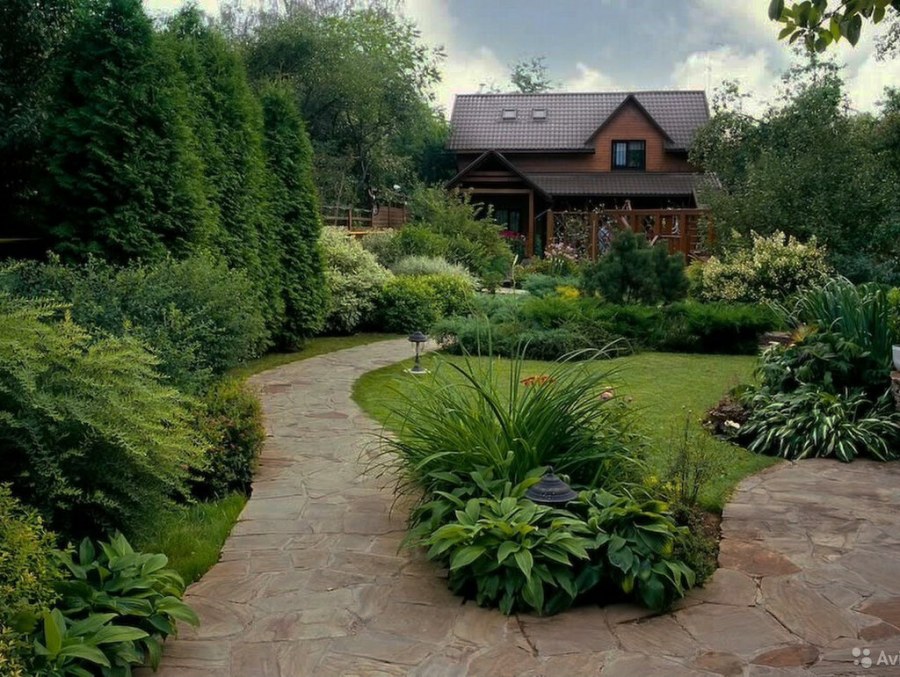 Лесной миксбордер