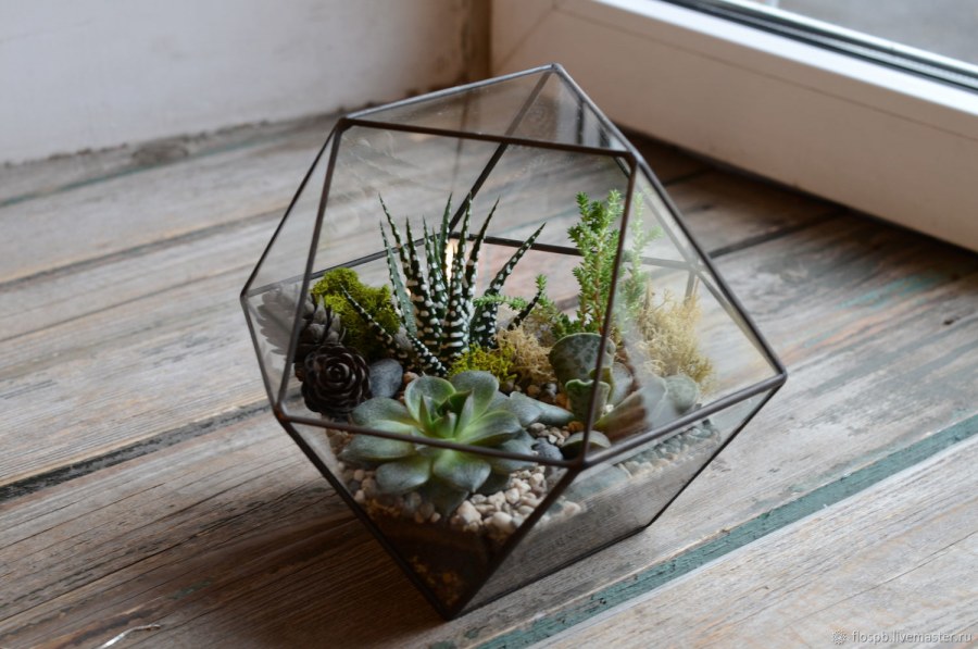 Флорариум с антуриумом