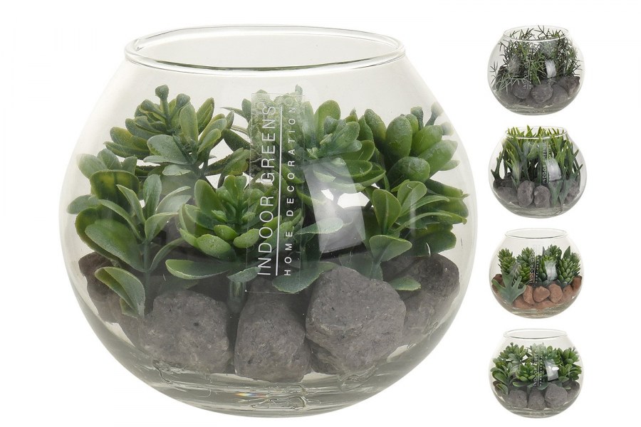 Стеклянное кашпо для суккулентов