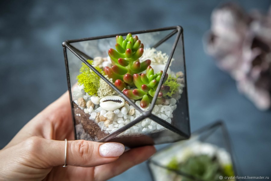 Флорариум ананас