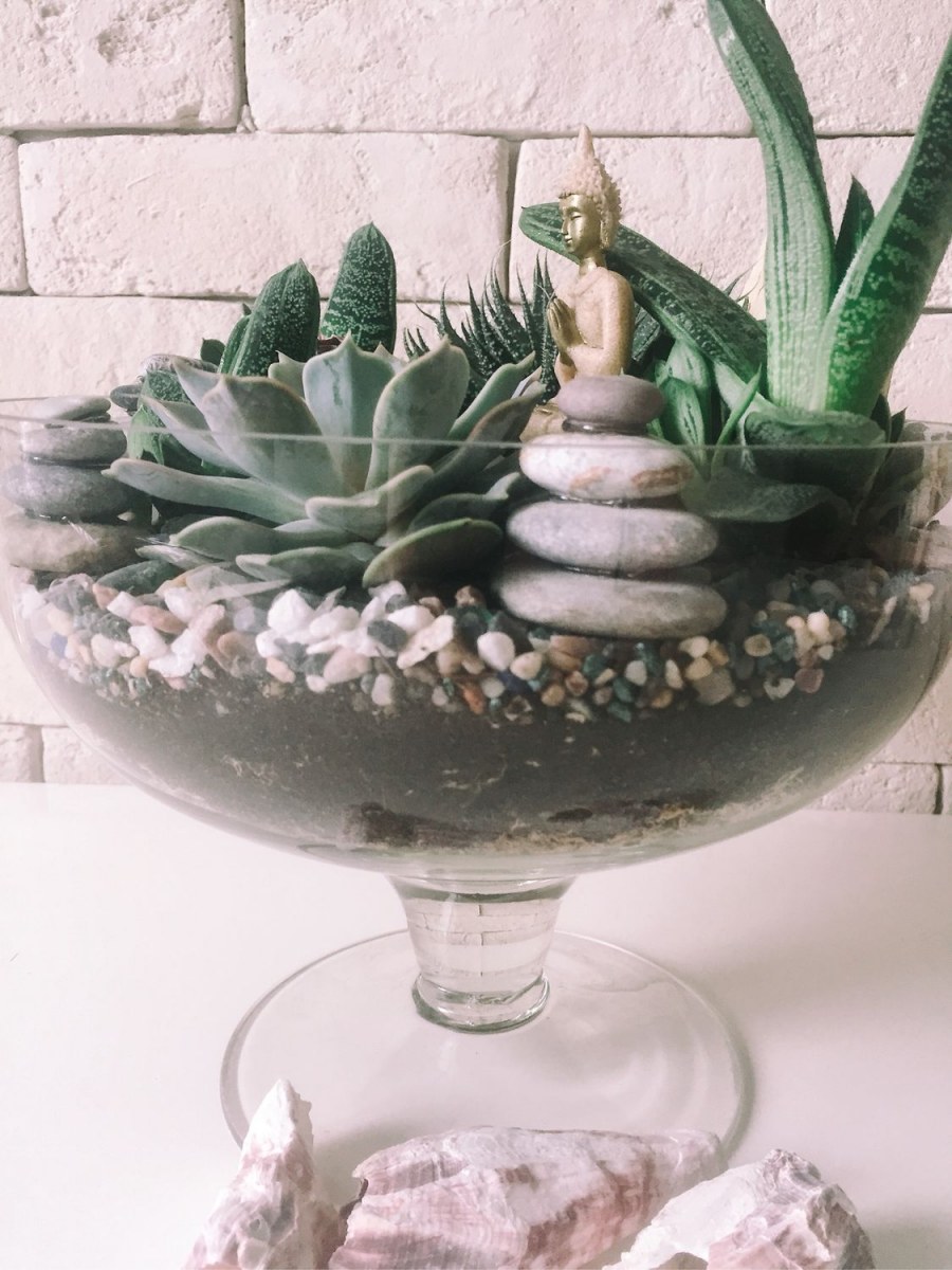 Фитофлорариум Суккуленты