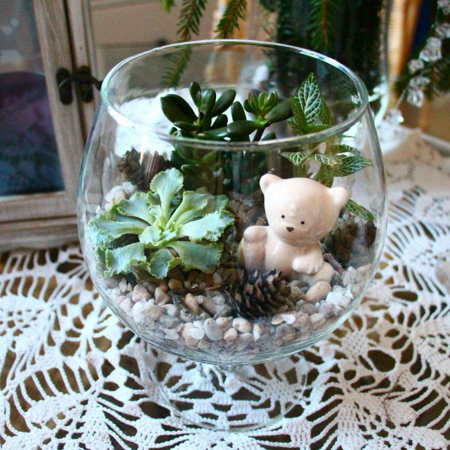 Фитофлорариум Суккуленты