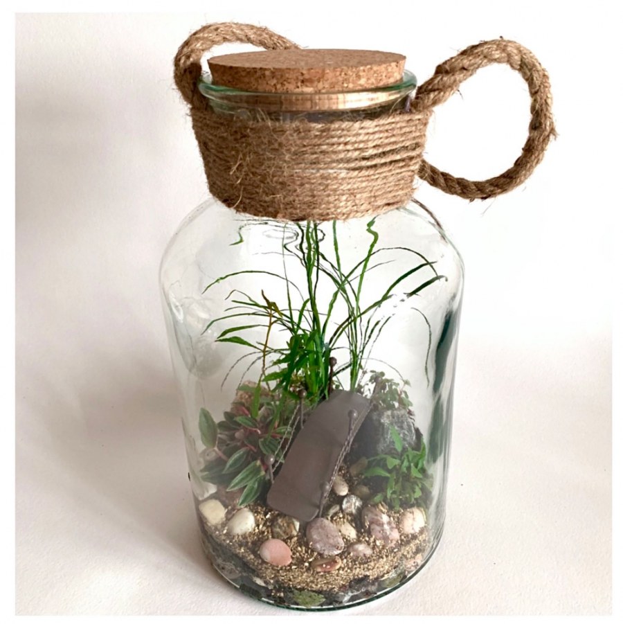 BIOBOX: флорариум